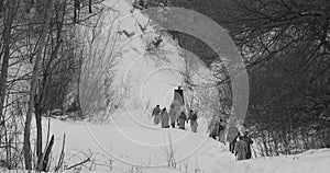Men Dressed As White Guard Soldiers Of Imperial Russian Army In Russian Civil War s Marching Through Snowy Winter Forest