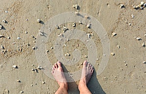 Men feet on the sand beach with a small sea shell and coral background