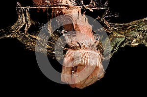 Men fist immersed in water with great speed