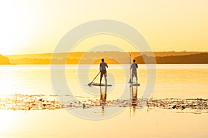 Men, friends paddling on a SUP boards