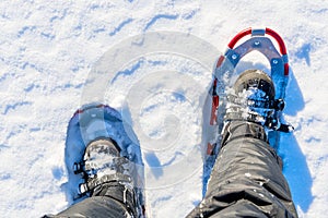 Men legs are shod with snowshoes