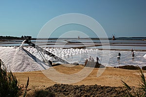 Men and machines at saltpans in Mozia in Sicily photo