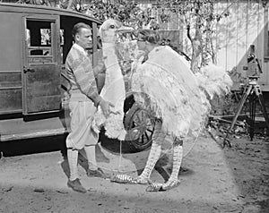 Men with ostrich costume