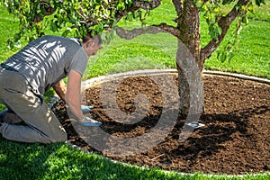 Men Redesigning His Garden Creating Circle Around Pear Tree