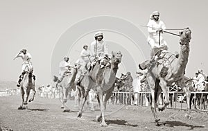 Men riding camels in a countryside