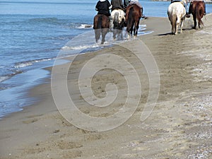 Men riding horses on the beach . Horseback riding on mediterranean coastline . Tuscany, Italy