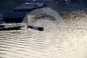 Men are rowing wood in the river