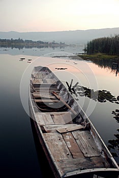 Men are rowing wood in the river