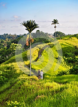 Men running along the path passing through the beautiful field