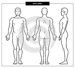 Men`s body and anatomy