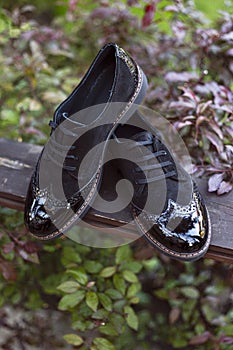 Men& x27;s Classic Black Leather Shoes arranged outside on a wooden plank, in garden