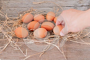 Men`s hand collecting freshly laid eggs, My chicken eggs are of the best quality