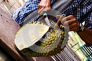 Men`s hands cutting Durian fruit