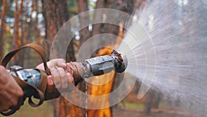 Men`s Hands Hold a Fire Hose from Which Water Runs under Pressure in Pine Forest