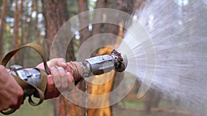 Men`s Hands Hold a Fire Hose from Which Water Runs under Pressure in Pine Forest