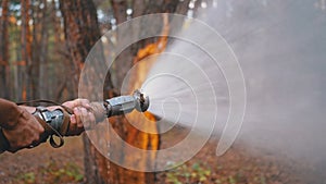 Men`s Hands Hold a Fire Hose from Which Water Runs under Pressure in Pine Forest