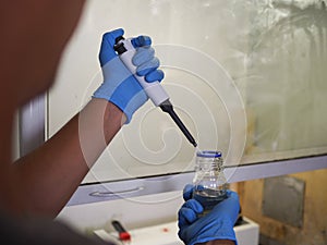 Men`s hands scientists are using aquatic release micropipette into the test tube. The process of research and development in