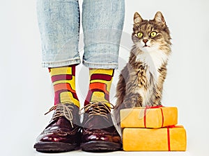 Men`s legs, stylish shoes, colorful socks with a pattern