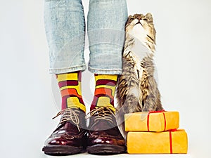 Men`s legs, stylish shoes, colorful socks with a pattern