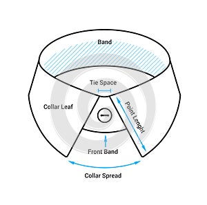 Men`s shirt collar diagram, vector