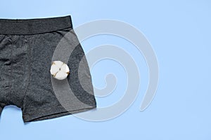 Men`s underwear, gray underpants and cotton flowers on blue background. Natural fabric concept, eco style. Flat lay top view copy