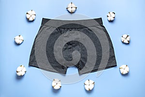 Men`s underwear, gray underpants and cotton flowers on blue background. Natural fabric concept, eco style. Flat lay top view copy