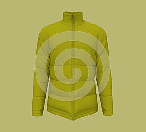 Men`s warm sport puffer jacket isolated over green background