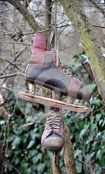 Men's winter skate on the tree