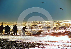 Men seeking amber in Baltic sea , Lithuania