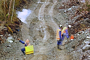 Seismic reflective survey photo