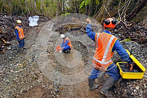 Seismic reflective survey photo