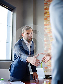 Men shaking hands. Confident businessman shaking hands with each other.