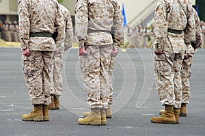 Men Standing at Attention