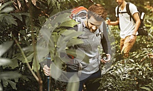 Men tourists trekking in a forest