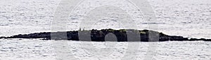 men waiting for pickup from an rock in sea