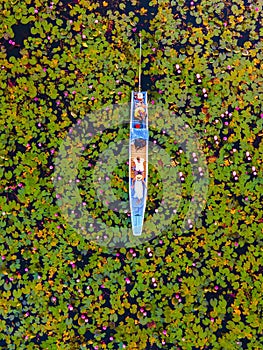 Men and women in a boat at Sunrise at The sea of red lotus, Lake Nong Harn, Udon Thani, Thailand