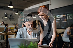 Man and woman having business meeting in a cafe, using laptop.