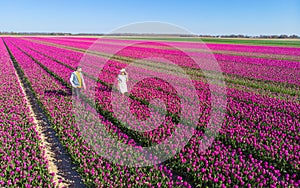 Men and women in flower fields seen from above with a drone in the Netherlands, flower fields