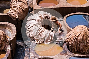 Chouara Tannery in Morocco, with round stone vessels for dyeing and softening leather in Fez el Bali