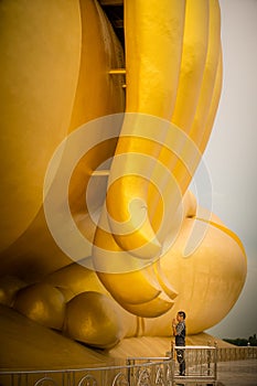 Men worship big buddha golden statue offering prayer