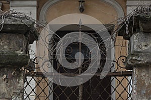 Menacing fence with branches in the foreground