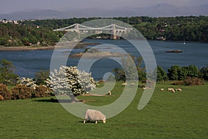 Menai Bridge