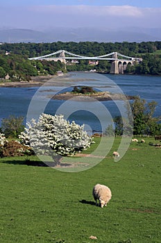 Menai Bridge