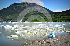Mendenhall Glacier in Alaska photo