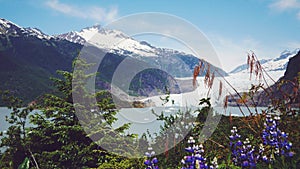 Mendenhall Glacier, Juneau, Alaska