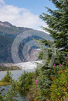 Mendenhall Glacier Park, Alaska