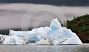 Mendenhall Iceberg