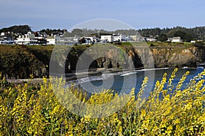 Mendocino California