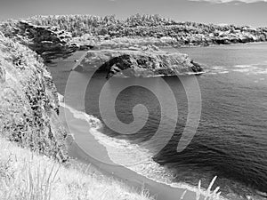 Mendocino coast beach, black and white