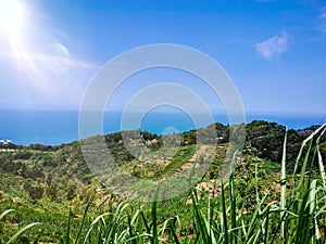 Menganti hill so beautifull with rice field and beach